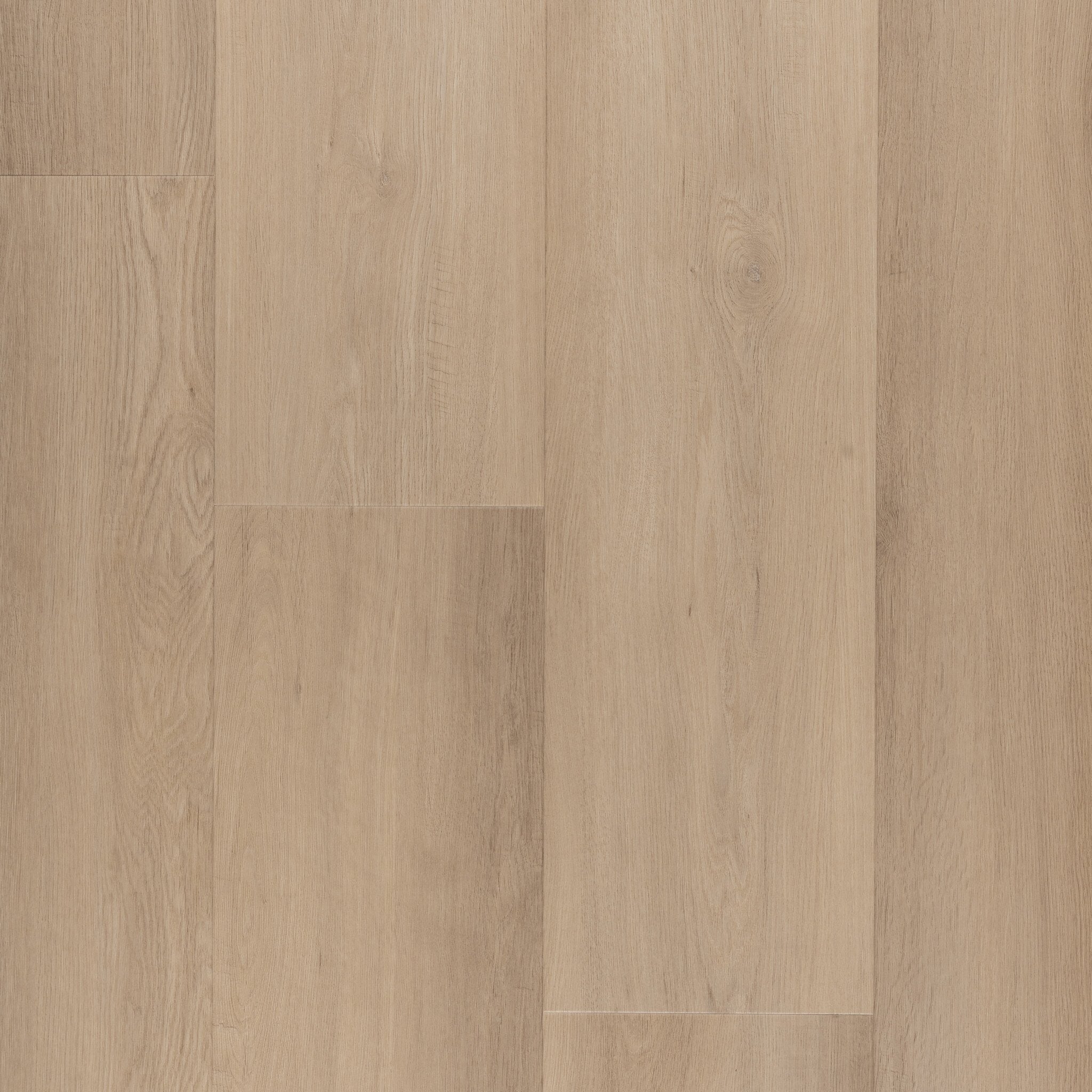 Altessa Latte Chêne Clair Planche PVC
