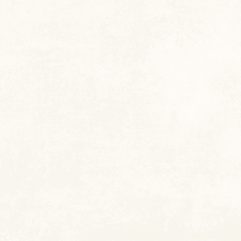 Spilos White 60x120 Keramische Tegel Vloer en Wand Gerectificeerd Porselein Geglazuurd - Vloerenbeer