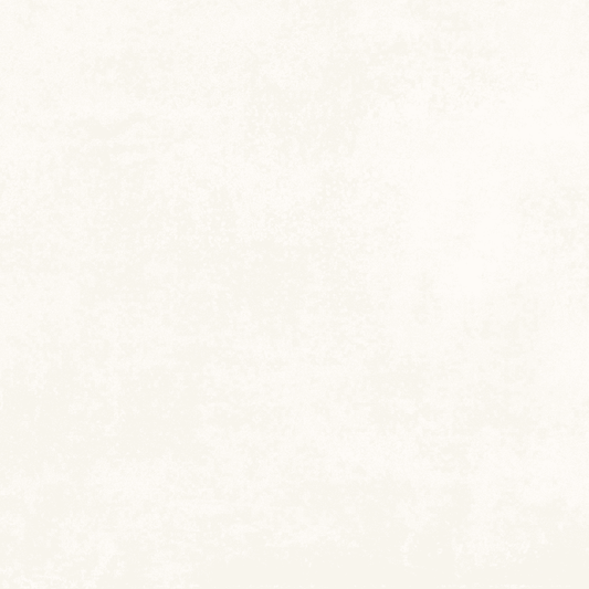 Spilos White 60x120 Keramische Tegel Vloer en Wand Gerectificeerd Porselein Geglazuurd - Vloerenbeer