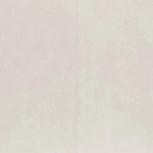 Steenlook
